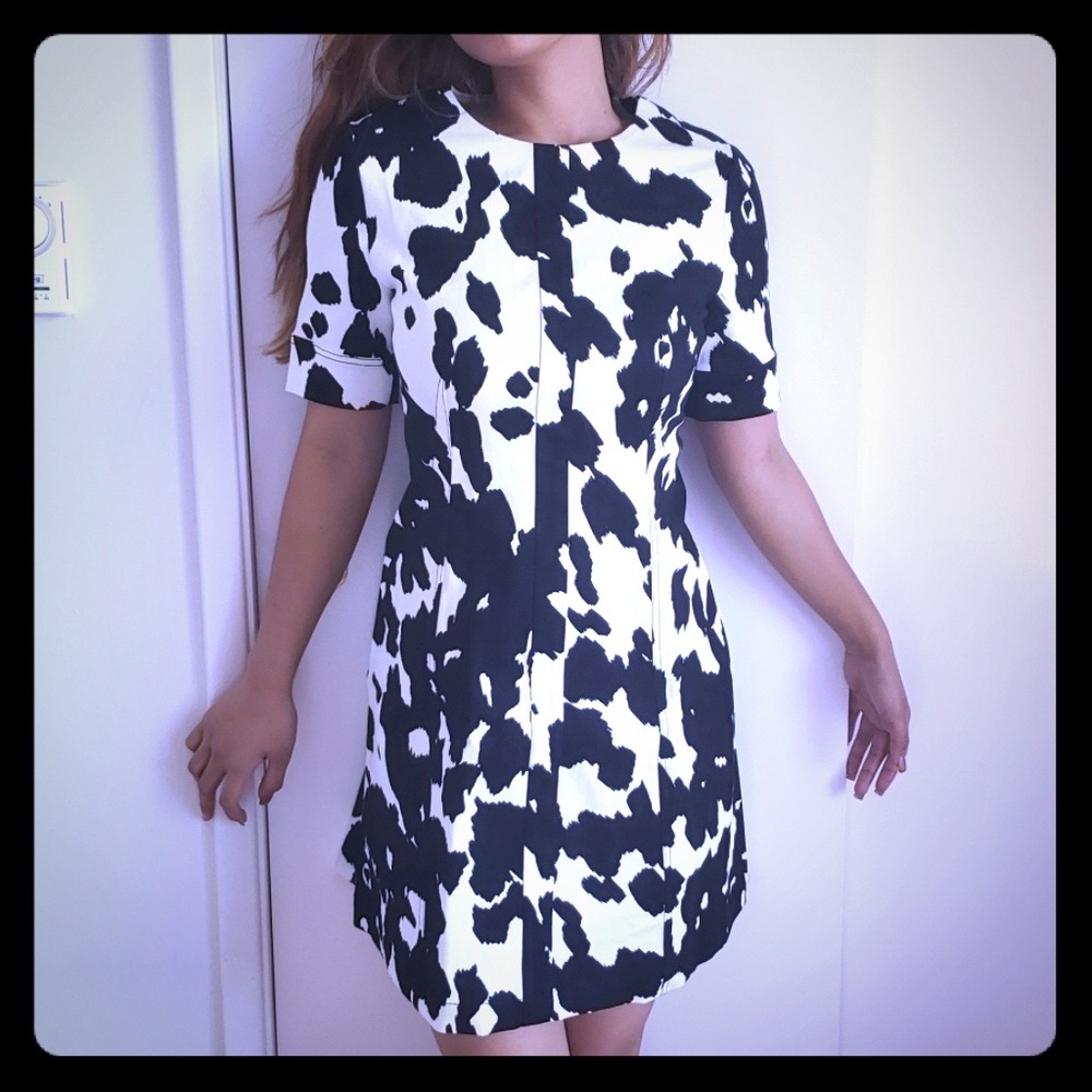 2 Pony ivory DVF Lena
